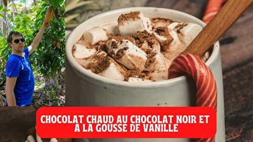 Chocolat chaud au chocolat noir et à la gousse de vanille - Blog du Comptoir de Toamasina