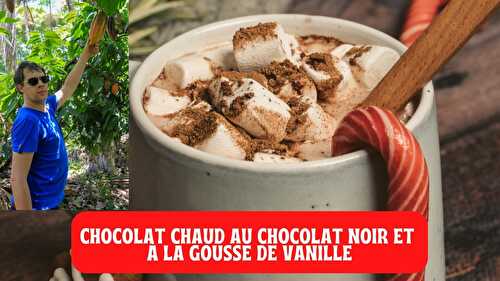 Chocolat chaud au chocolat noir et à la gousse de vanille