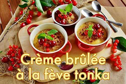 Créme brûlée Fève Tonka