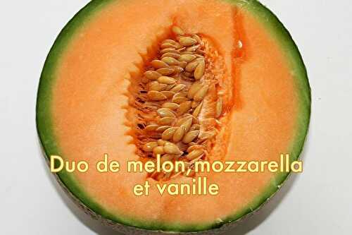 Duo de Melon et Vanille de Madagascar - Recette de l'été melon cavaillon