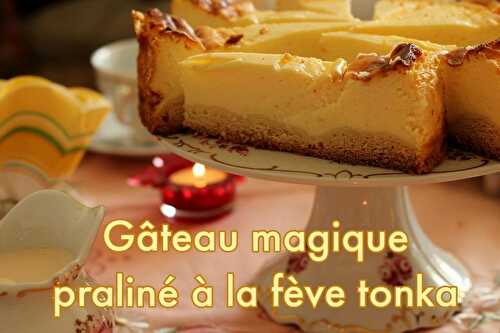 Gâteau Magique Chocolat Fève Tonka
