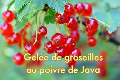 Gelée de groseilles au poivre de Java