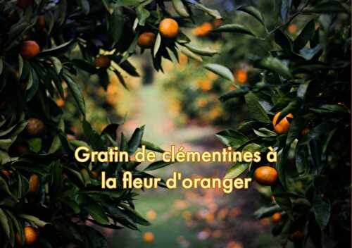 Gratin de clémentines à la fleur d'oranger