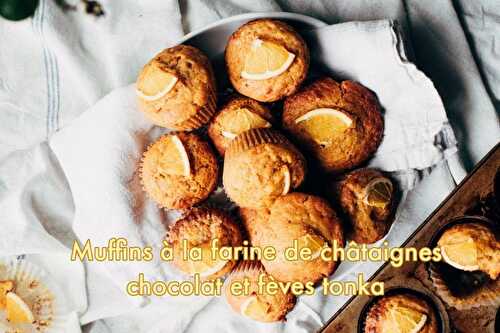 Muffins à la farine de châtaigne chocolat Fève Tonka