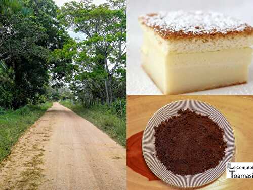 Recette de Gâteau Magique à l'açai