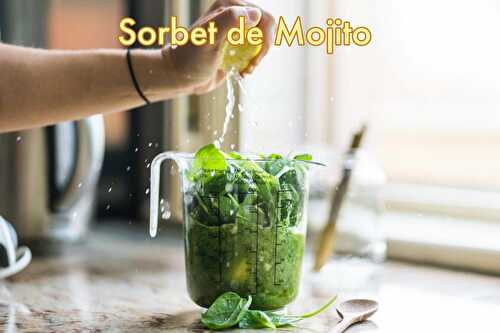 Sorbet au Mojito  - Réaliser la meilleure glace au Mojito by Abaçai