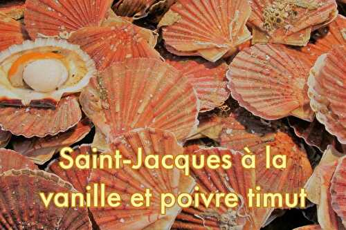 St Jacques à la vanille de Madagascar et au poivre Timut - Blog du Comptoir de Toamasina