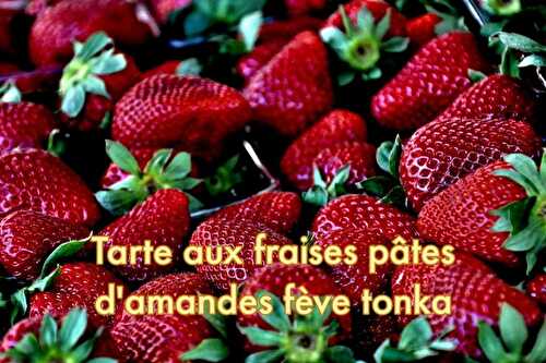 Tarte aux Fraises Pâte aux Amandes Fève Tonka