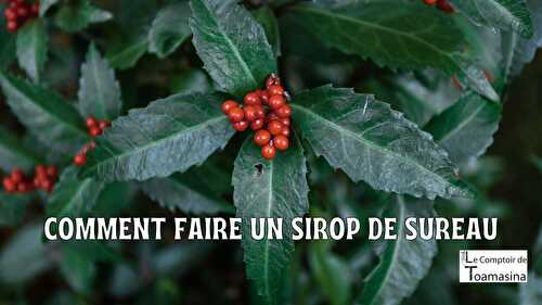 Comment faire un sirop de Sureau