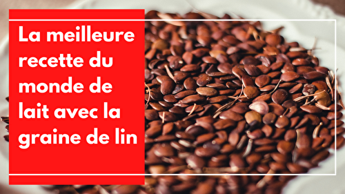 Recette de Lait de graines de lin