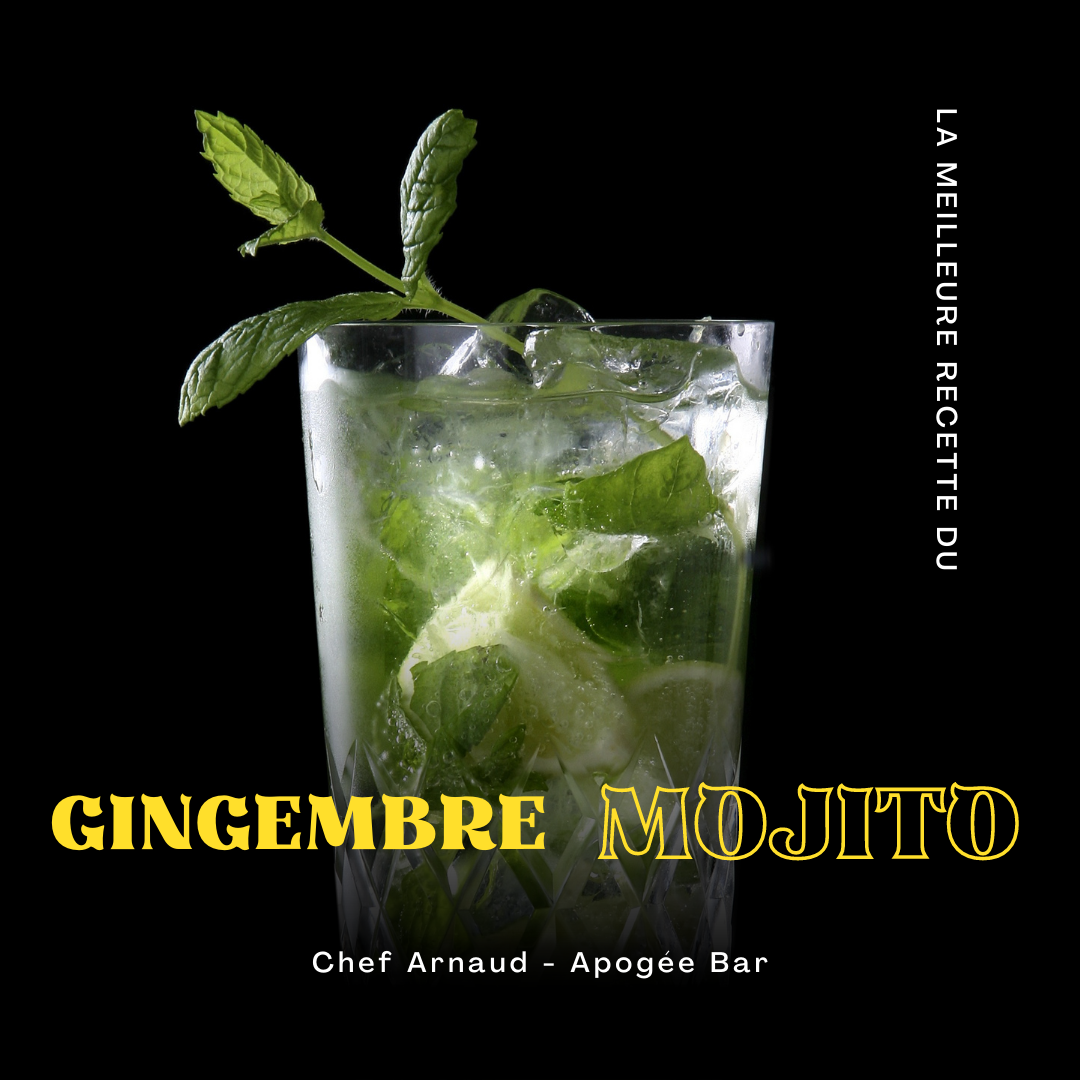 Recette du Gingembre Mojito