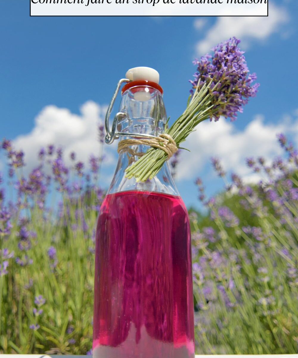 Comment faire un sirop de lavande maison