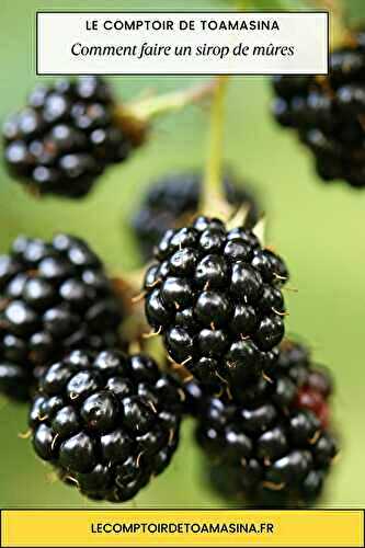 Recette de Sirop de Mûres Maison
