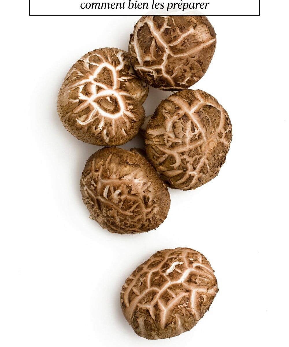 Tout savoir sur les champignons shiitake et comment bien les préparer
