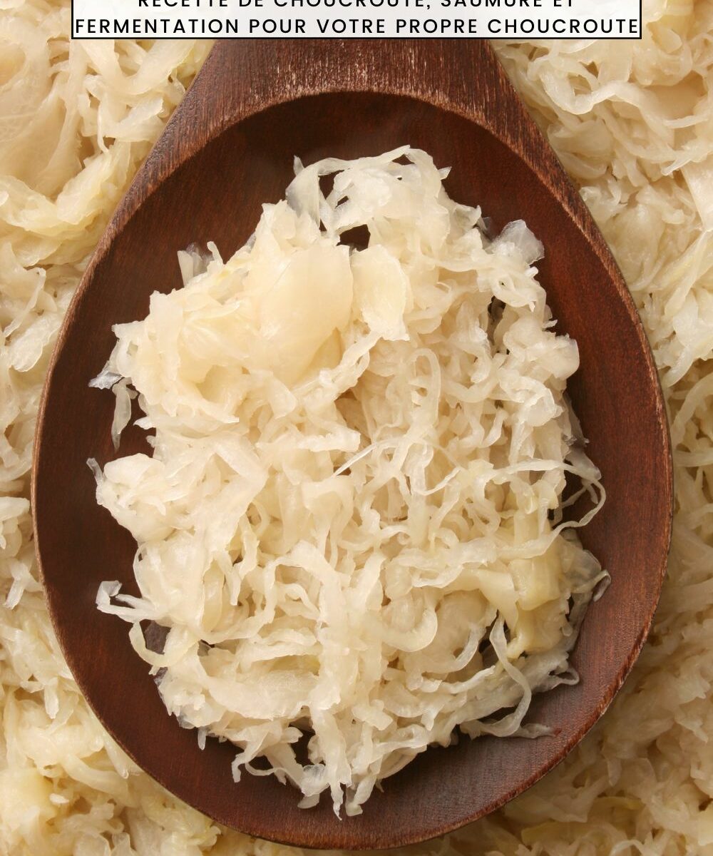 Comment faire de la choucroute maison