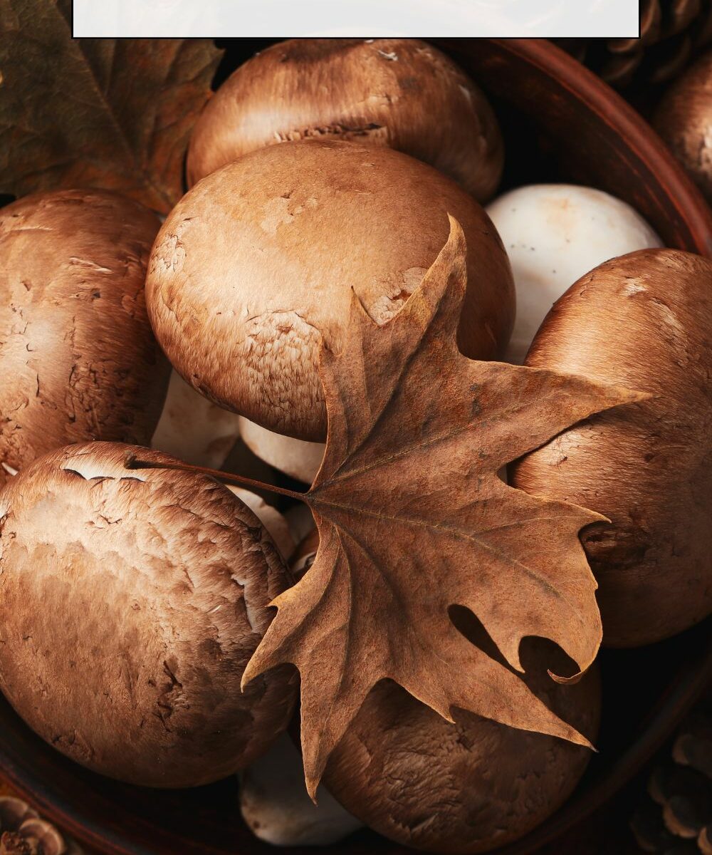 Poêlée de champignons des bois au poivre noir