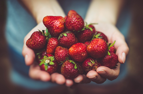 Zoom sur la fraise: qualités nutritionnelles et recettes