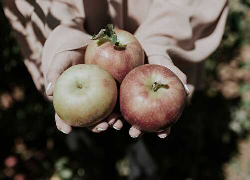 Le fruits et légumes de février