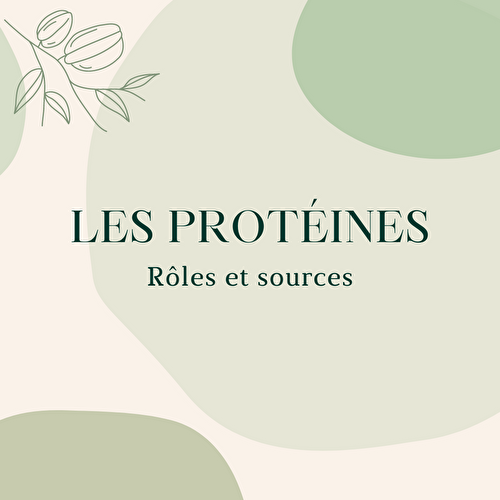 Les protéines