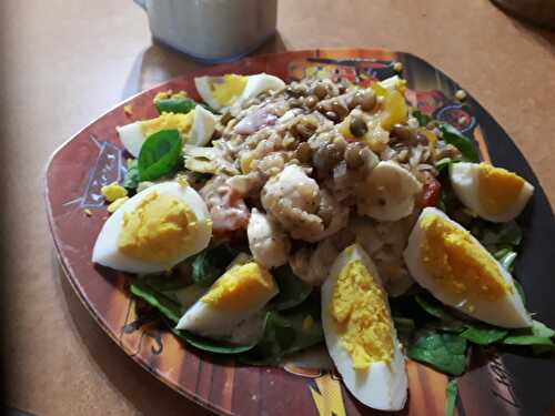 Salade aux 2 lentilles