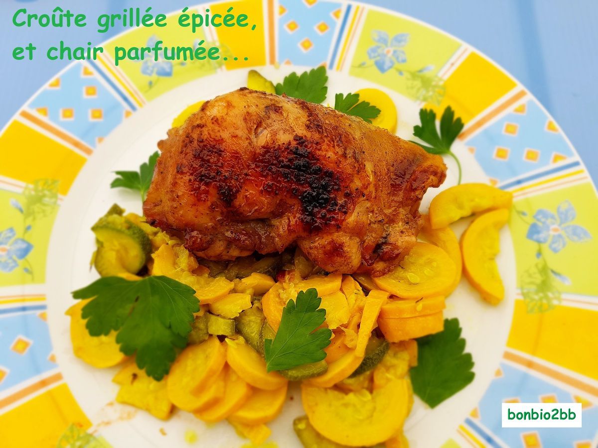 BBQ : Brochettes de cuisses de poulet au thym citron - Bon, Bio, la tambouille des Chabrouille