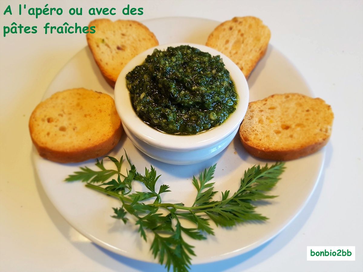 Pesto de fanes de carottes et graines de courge - Bon, Bio, la tambouille des Chabrouille