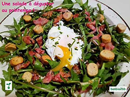 Salade de pissenlits aux lardons, ail et oeufs pochés - Bon, Bio, la tambouille des Chabrouille