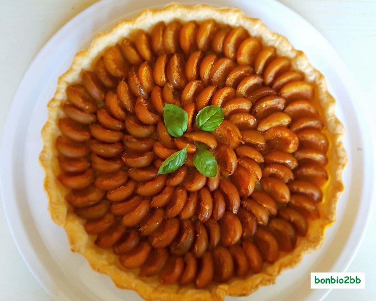 Tarte aux mirabelles de Lorraine - Bon, Bio, la tambouille des Chabrouille