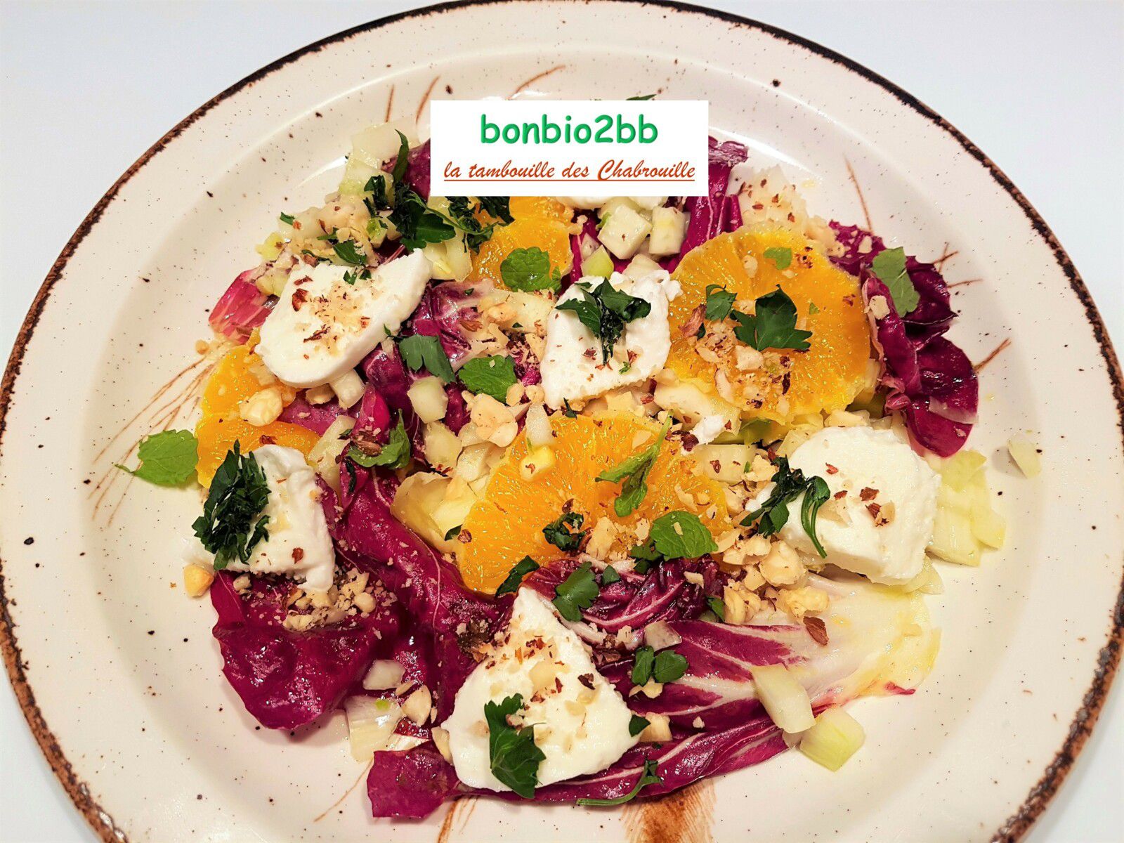 Salade de fenouil, orange et mozzarella - Bon, Bio, la tambouille des Chabrouille