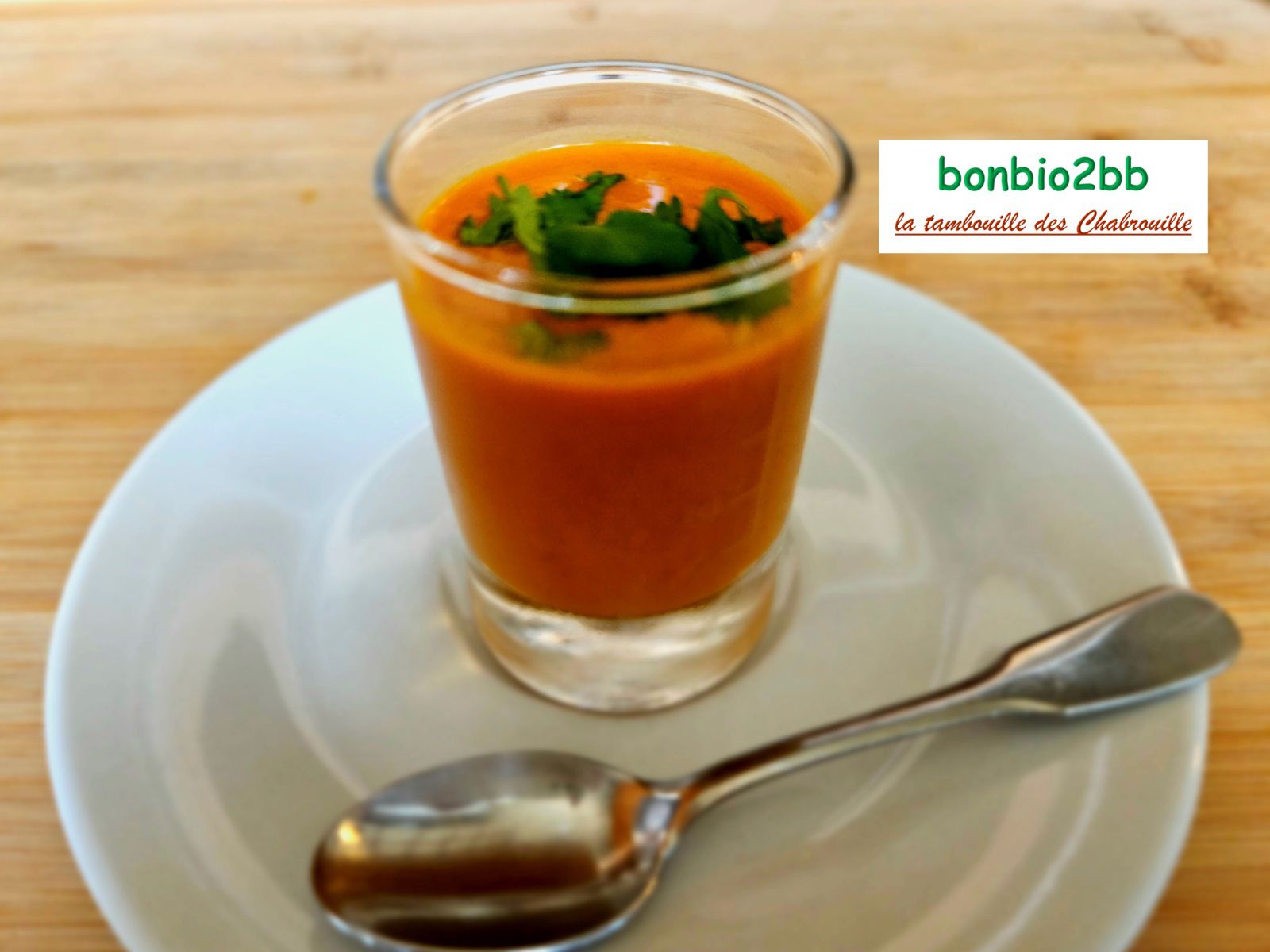 Gaspacho indien - Bon, Bio, la tambouille des Chabrouille