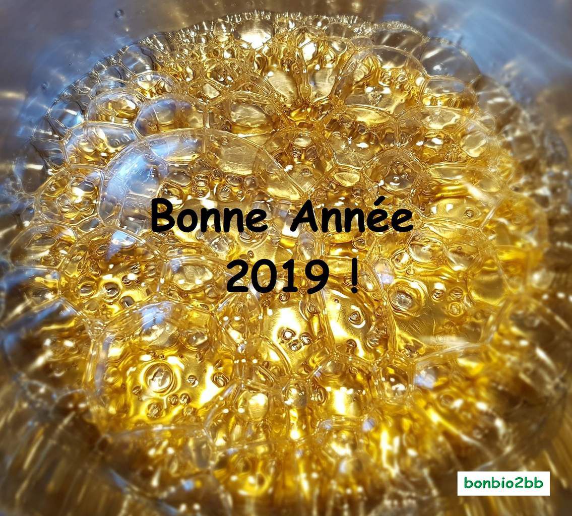 BONNE ANNEE 2019 ! - Bon, Bio, la tambouille des Chabrouille
