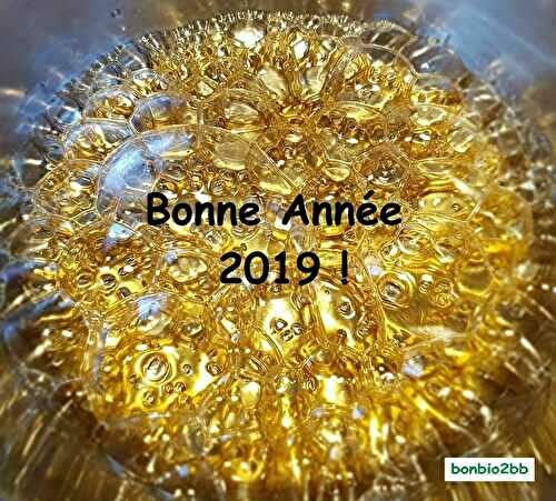 BONNE ANNEE 2019 ! - Bon, Bio, la tambouille des Chabrouille