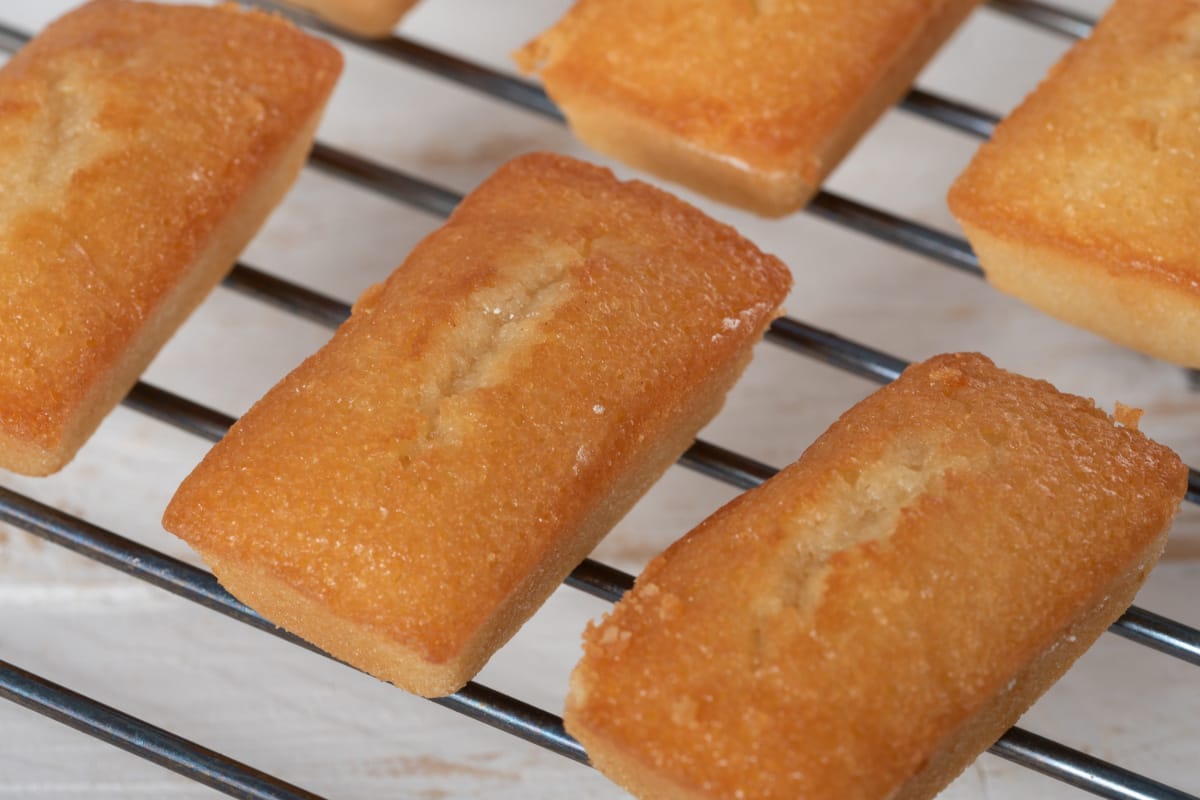 Financier nature