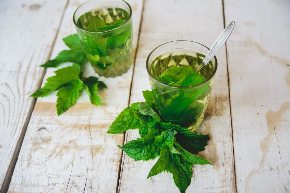 Thé vert à la menthe
