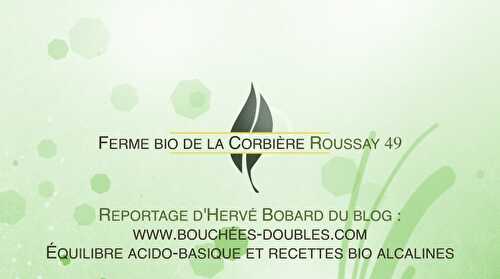 Reportage : la ferme bio de la Corbière à Roussay (49450)