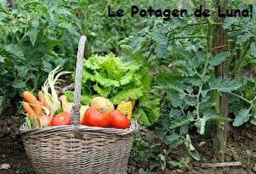 Histoire de Potager.... - Breves de Luna