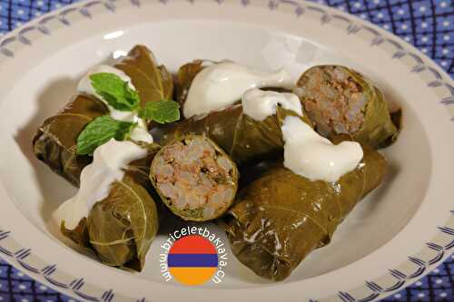 Sarma de feuilles de vigne à la viande