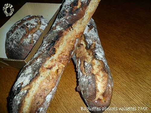 Baguettes abricots noisettes, version TMX