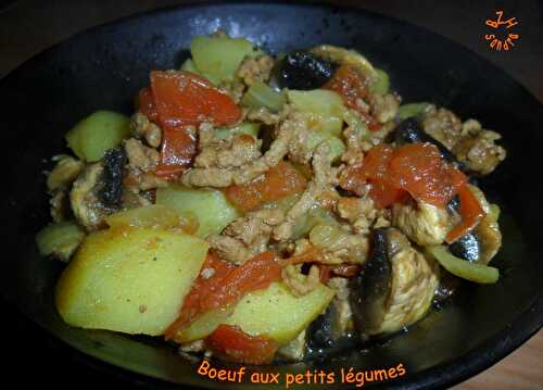 Boeuf aux petits légumes