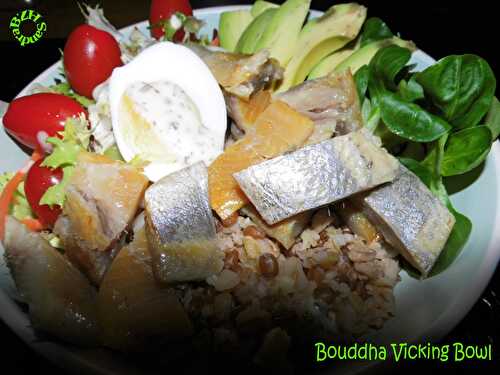 Bouddha Vicking Bowl - BZH SANDRA