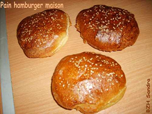 Burger de dinde (pain à hamburger maison) - BZH SANDRA