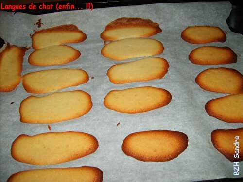 Langues de chat (enfin !!)