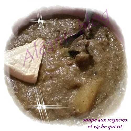 Soupe aux rognons, p de t et poireau