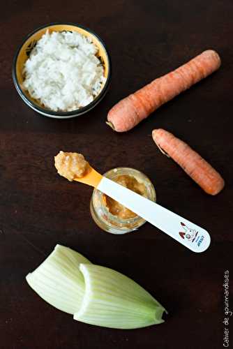 Purée carottes-fenouil, riz et porc