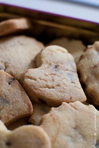 Frollini aux pépites de chocolat