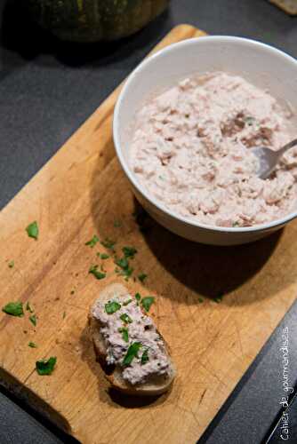 Rillettes maison au thon et au fromage frais