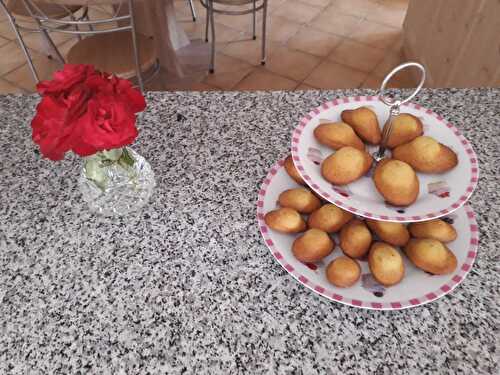 Ce soir j'attends des Madeleines, des Madeleines au chocolat