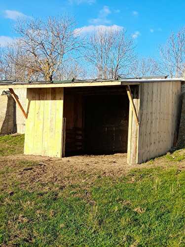 Dans ma cabane