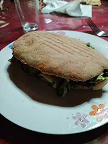 Paninis aubergine