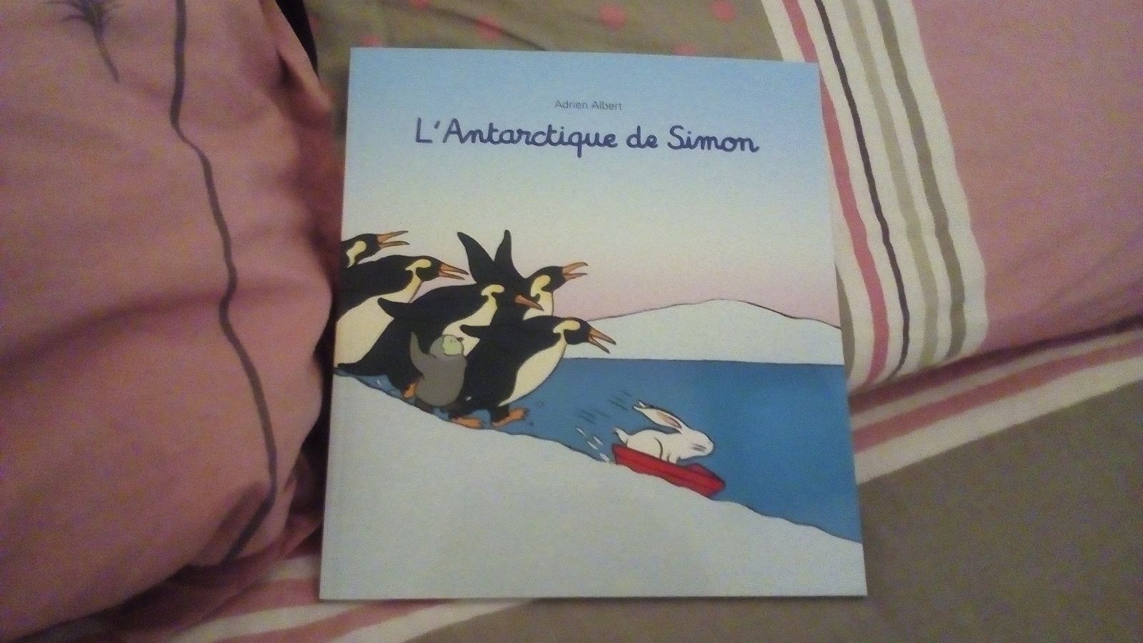 L'Antarctique de Simon